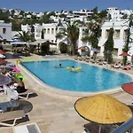 Paradise 3*