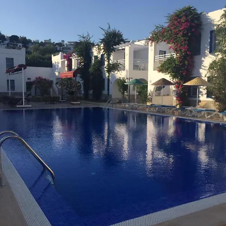 Paradise 3* بيتيس