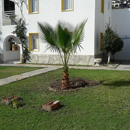 Paradise شقة فندقية 3*