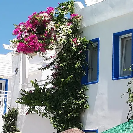 شقة فندقية Paradise بيتيس