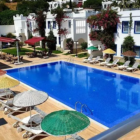Paradise 3*