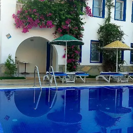 Paradise 3*