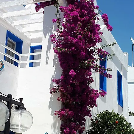 Aparthotel Paradise Bitez