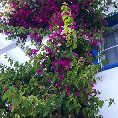 Aparthotel Paradise