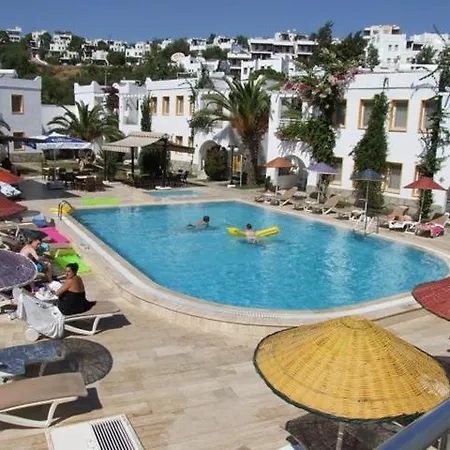 Paradise 3*